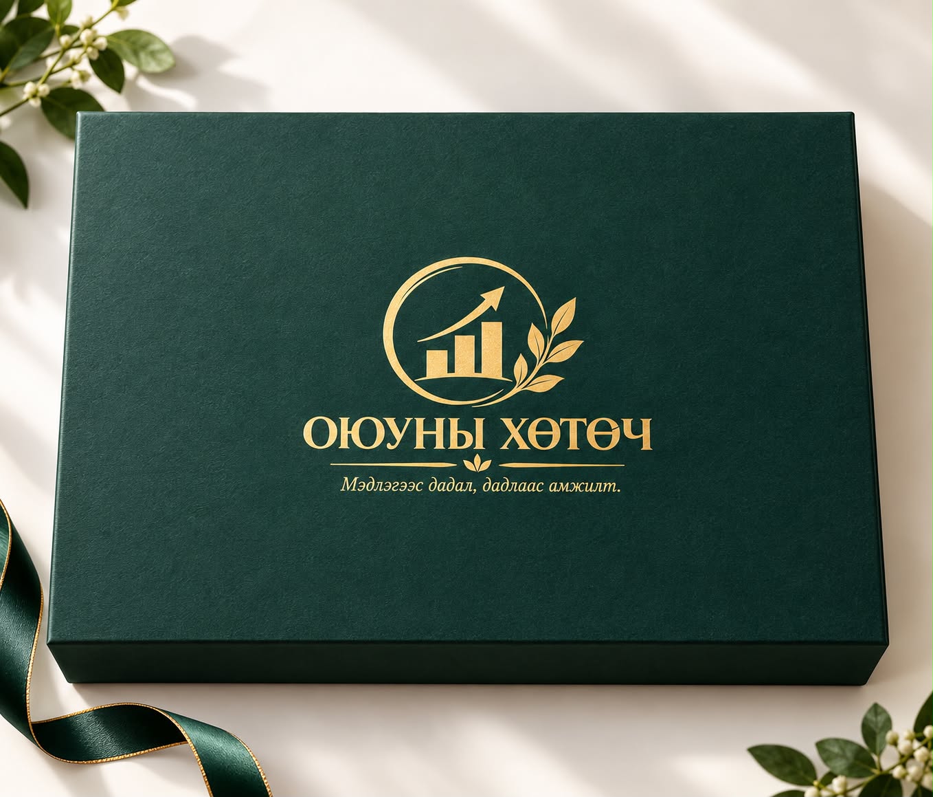 ОЮУНЫ ХӨТӨЧ ХАЙРЦАГ